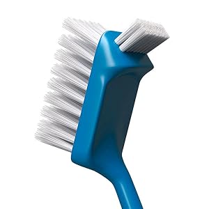 Dish brush