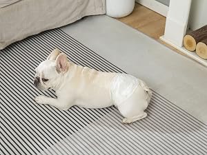 diapers for dogs male