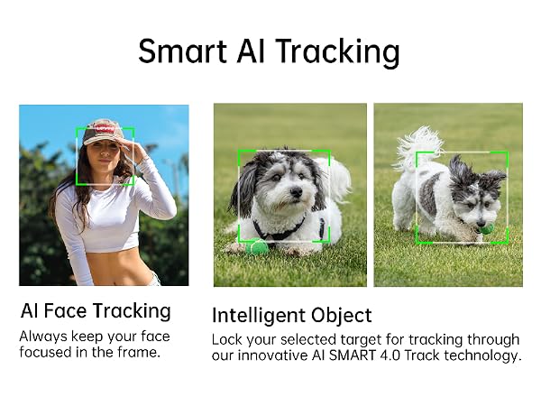 AI Tracking