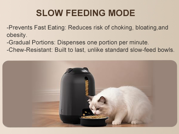 automatic cat feeder wifi small pet feeder automatic pet feeder cat automatic feeder