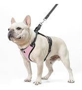 PUPTECK Dog Harness and Leash Set for Small Medium Sized Dogs, No Pull Dog Harness for Walking Tr...