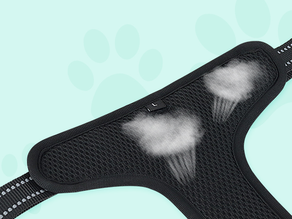 dog harness