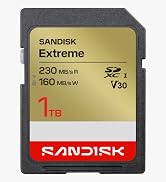 SANDISK Extreme 1TB SD Card