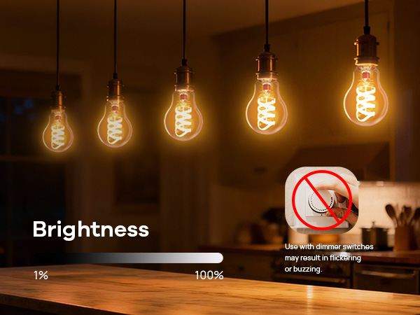 smart edison bulb e26