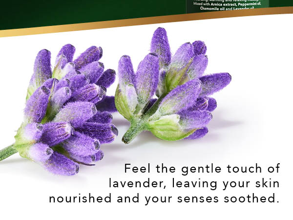 skin nourishing lavender oil relaxing massage oil