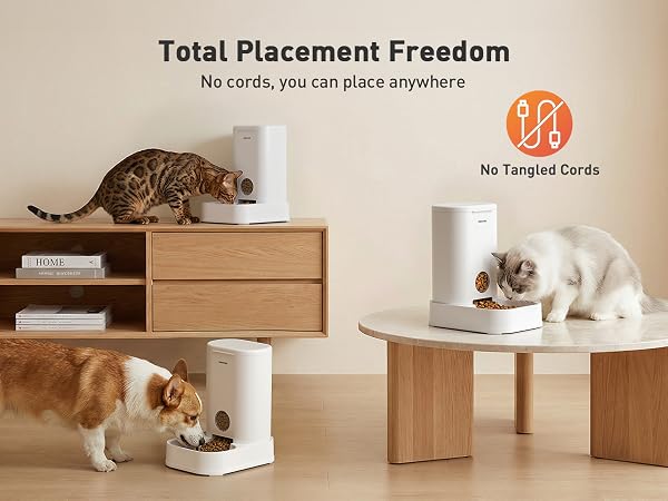 cat automatic feeder
