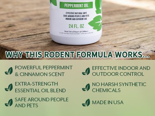 Infographic product on a natural wooden table
