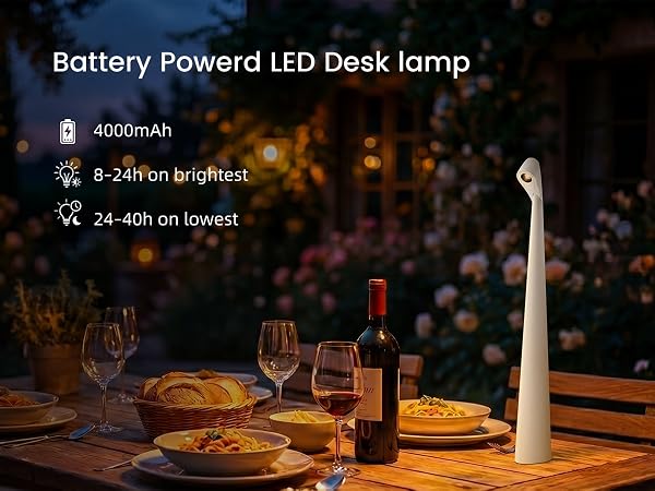 table lamp