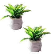 2 Pieces Dollhouse Decoration Plant Pots Miniature Green Potted Bonsai Model Dollhouse Accessorie...