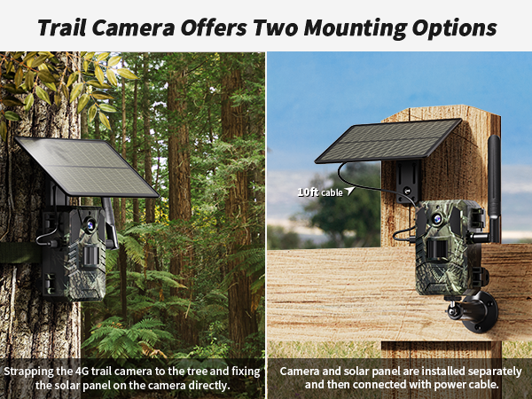 trail camera