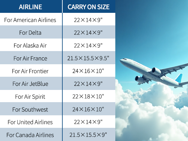 airline approved