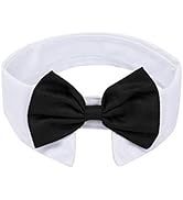 ZTON for Little Puppy, Handcrafted Adjustable Formal Pet Bowtie Collar Neck Tie for Dogs & Cats