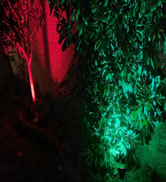 color changing solar spotlights
