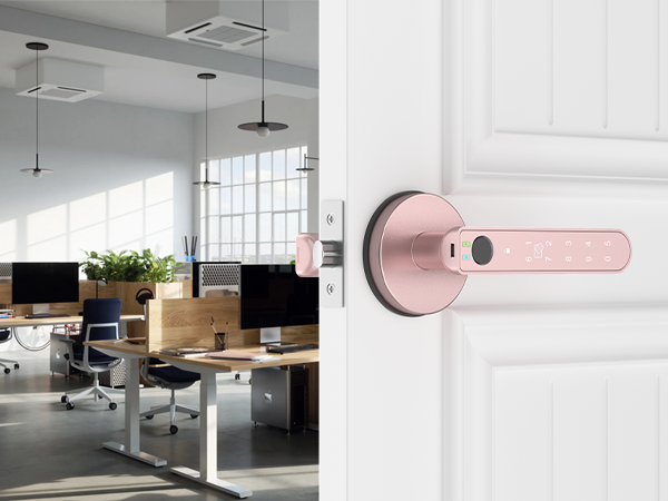 Office Door Lock