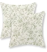 DAFENA Sage Green Vintage Floral Pillow Covers 18x18 Inch 2 Pcs Green Cream Rustic Toile Chinoise...