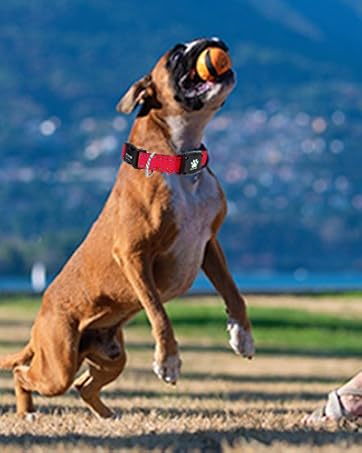 MYIWB, red dog collar, heavy-duty collar, outdoor play, active dog, strong pet gear