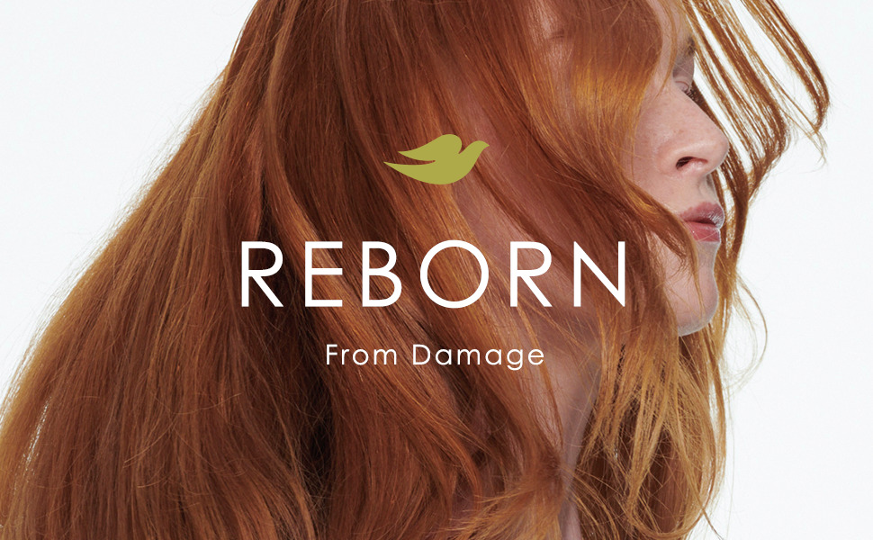 Reborn for Damage