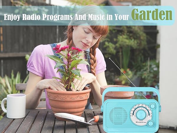 D218 portable radio for garden