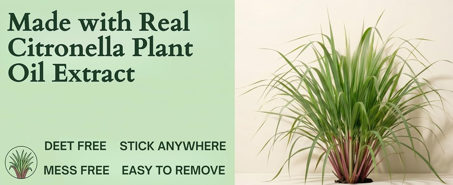 Citronella plant with text highlighting DEET-free, mess-free stick anywhere mosquito repellent patch