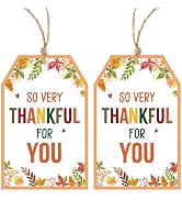 Alynta Fall Thanksgiving Gift Tags with String 50Pcs Fall Thank You Paper | So Very Thankful Tags...