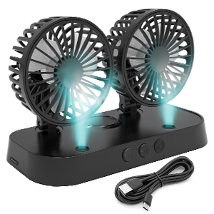 double head fan