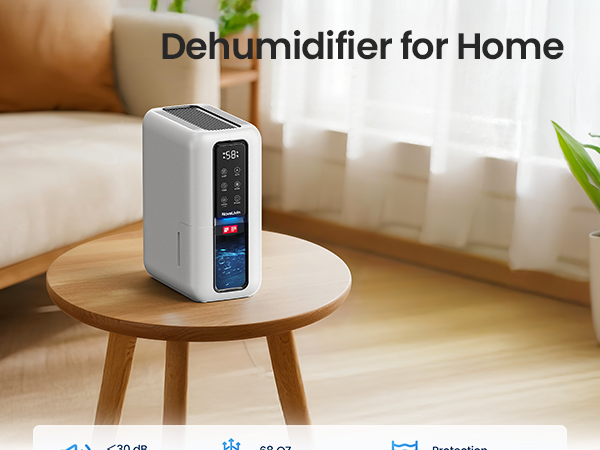 dehumidifier for bathroom