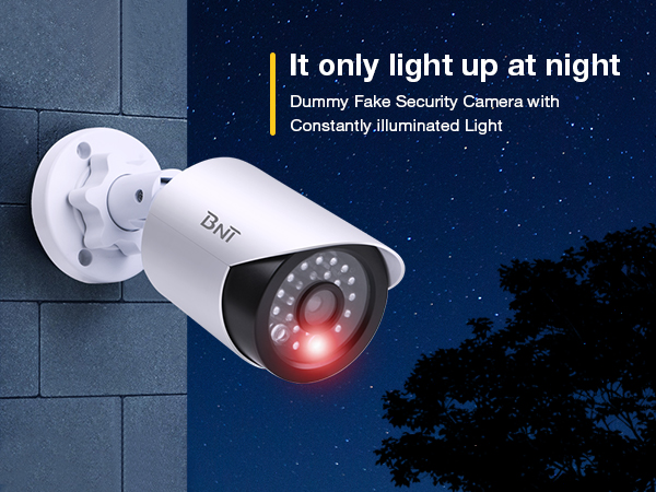 Fake Security Camera