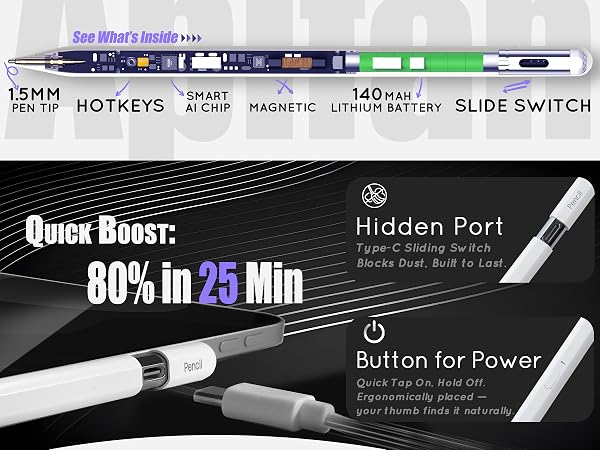 Stylus internal structure and hidden port