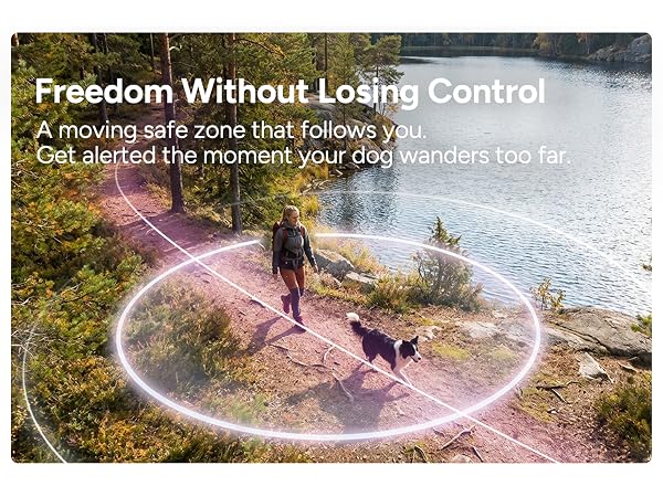 dog gps tracker