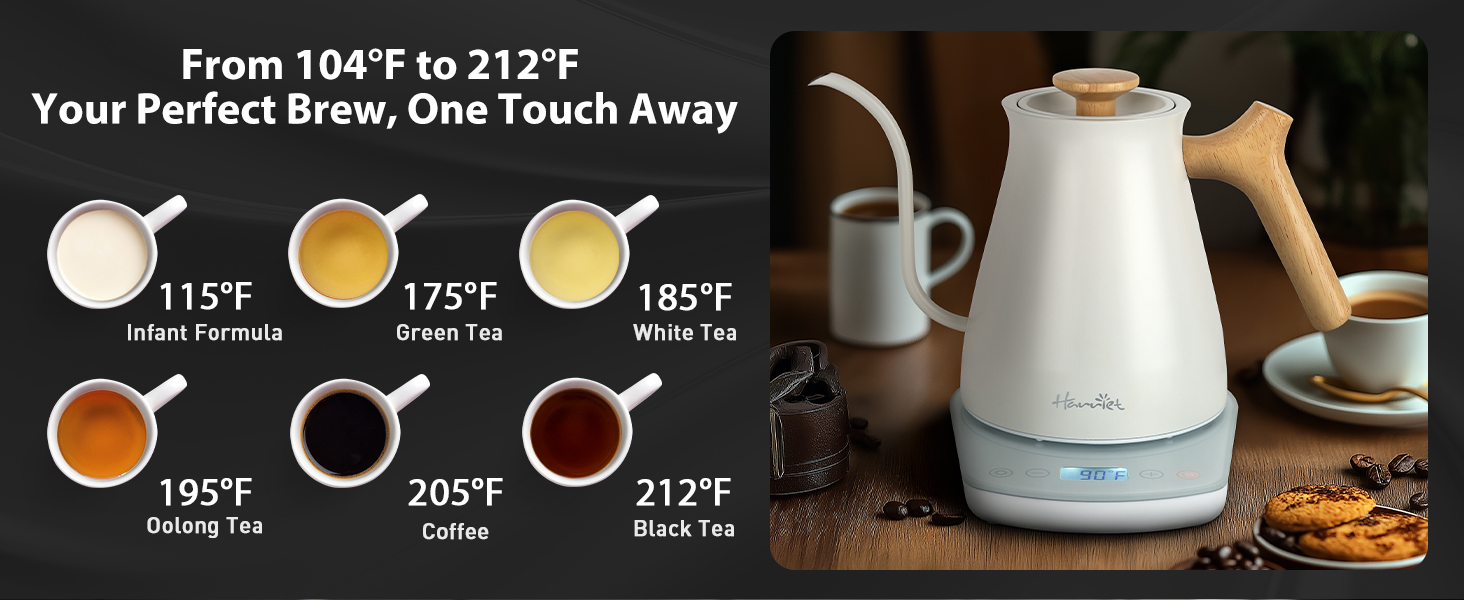 Gooseneck Electric Kettle