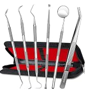 G.CATACC Dental Tools, Dental Pick Teeth Cleaning Tools Hygiene Kit, Plaque Remover for Teeth, Pr...
