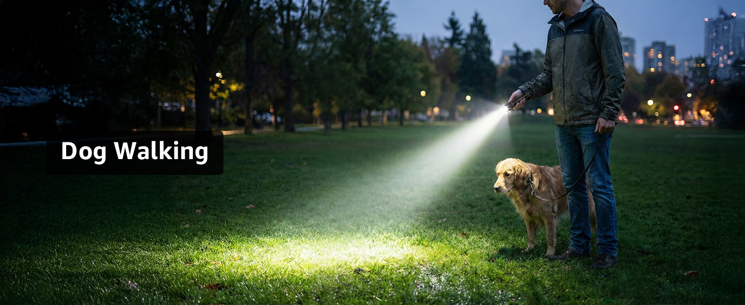 Dog Walking