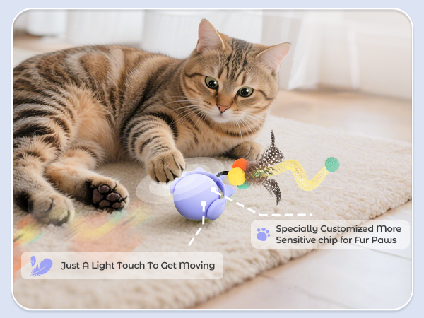 cat toys for indoor cats