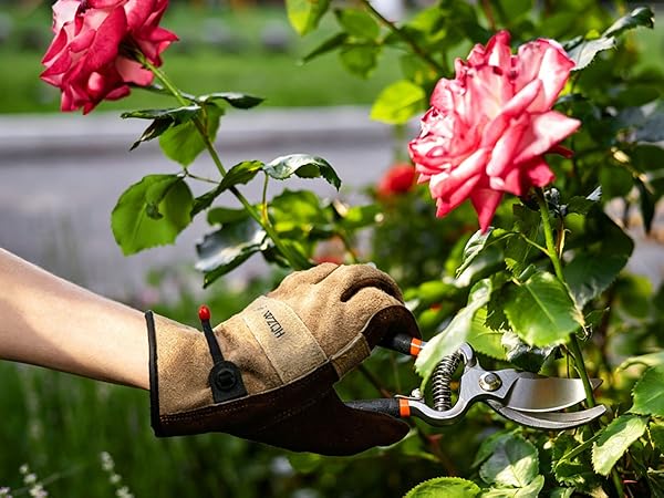 Gardening Work