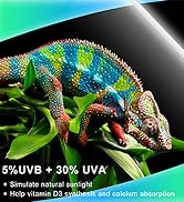 uvb reptile light