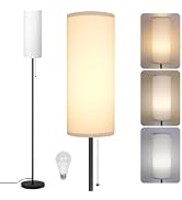 Floor Lamp for Living Room, Modern Standing Lamps with Lampshade, Minimalist Tall Lamp with Chain...