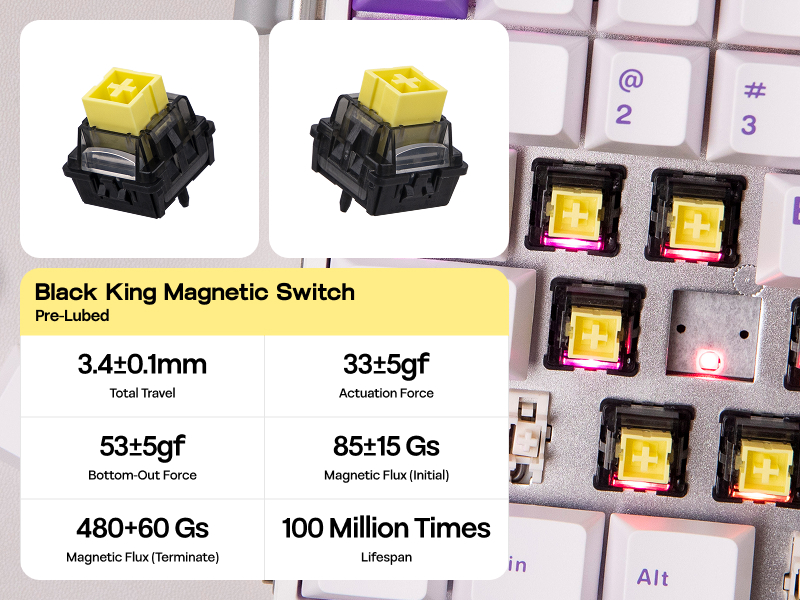 Hero84 HE White Purple