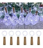 Etinga Dual Battery Pack LED Bottle Lights, 6.6ft 20led Double The Lighting Time, for Indoor and ...