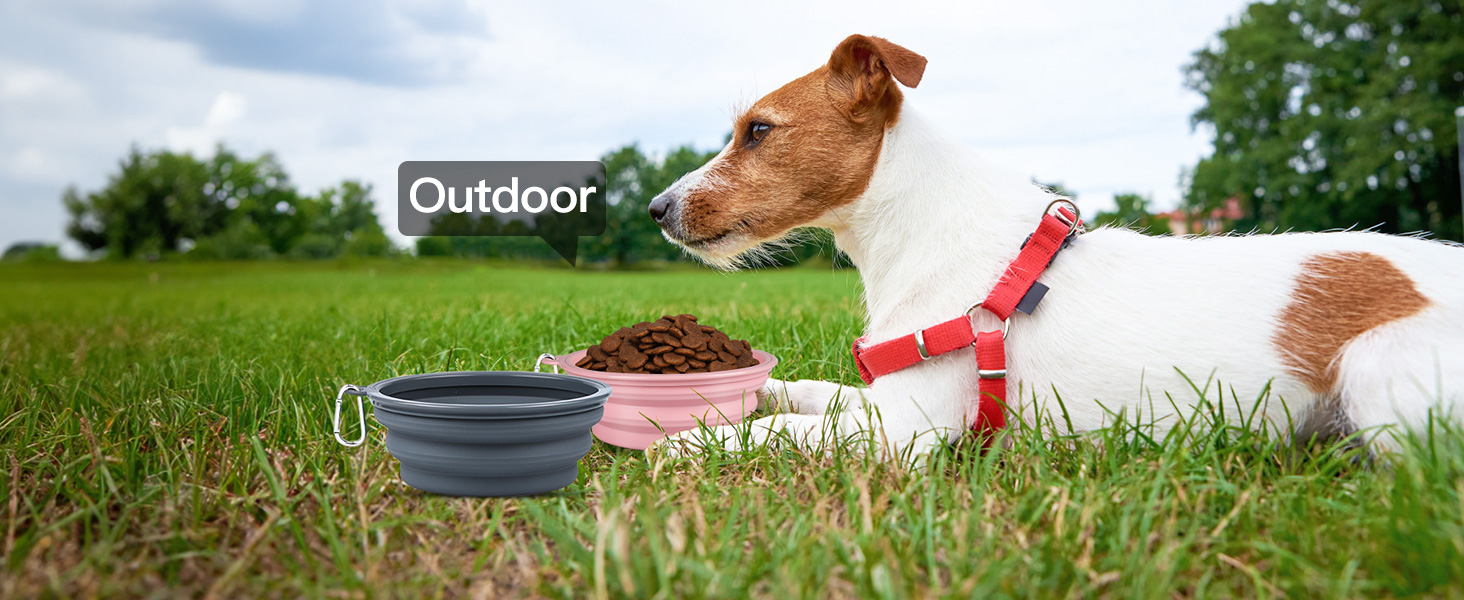 collapsible dog water bowls
