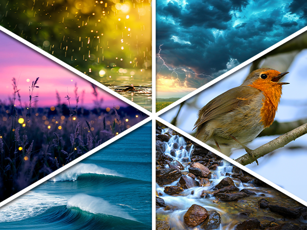 Soothing Sleep Sounds, Auto-Off Timer Rain, Thunder, Nature, Birds, Ocean Waves, Brook sleep timer