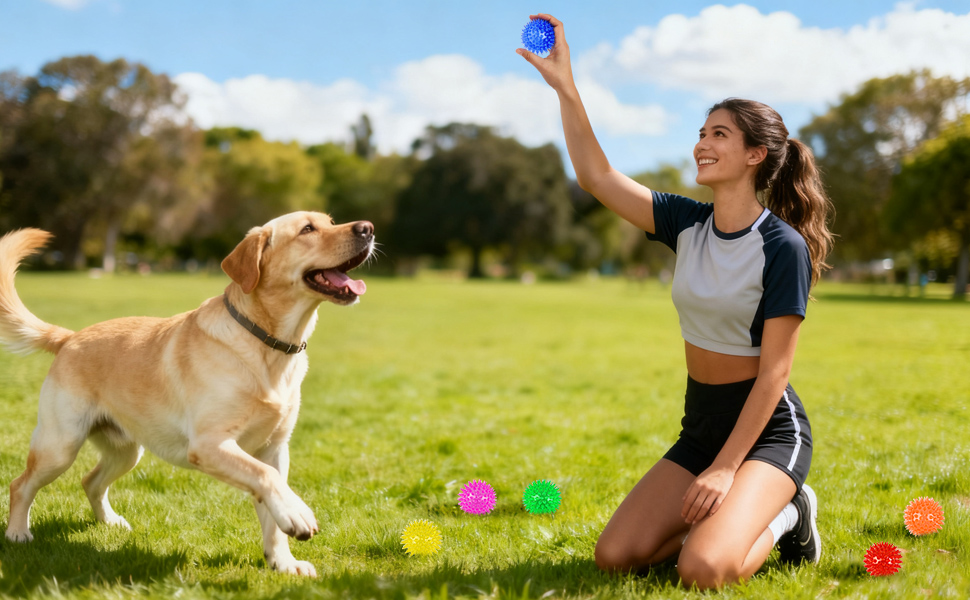 balls for dogs