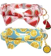 Faygarsle 2 Pack Cute Cat Collar with Bell Breakaway Bowtie Cat Collar for Male Female Cats Soft ...