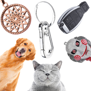 dog clip