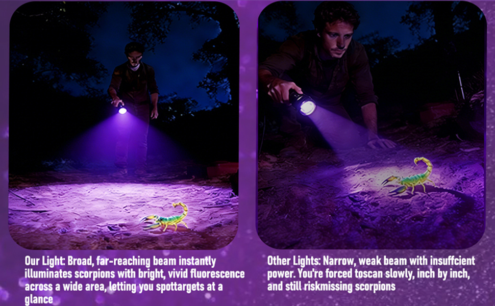 365nm UV Flashlight