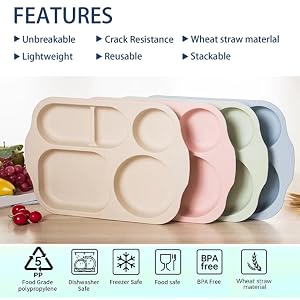 Large 12 Inch Unbreakable Divided Plates Wheat Straw Dinnerware