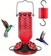 FEED GARDEN Glass Hummingbird Feeder, 16oz Outdoor Hanging Bird Feeder with Ant Moat, 4 Bee-Proof...