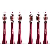 Replacement Toothbrush Brush Heads for Wagner & Stern and Wagner Switzerland toothbrushes. (Burgu...