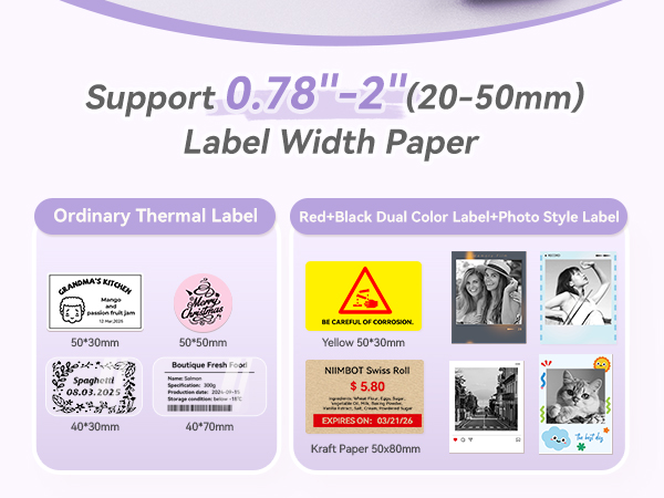 niimbot b21 pro label maker