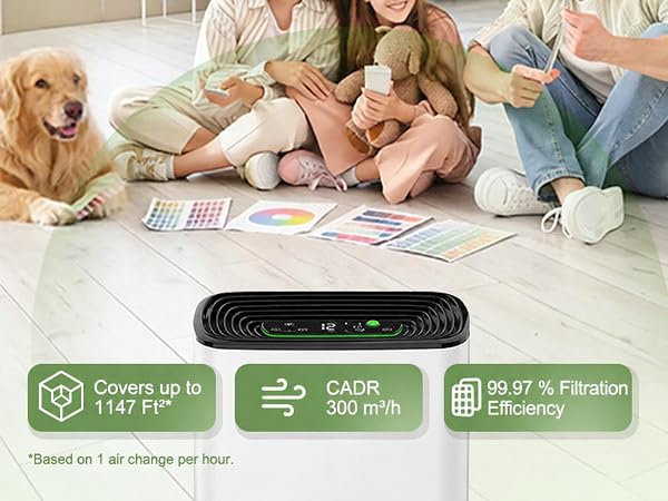 air purifier