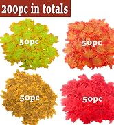 maple 200